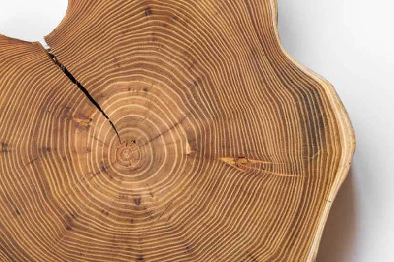Is Locust wood good for furniture